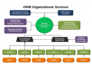 OPAR Organization
